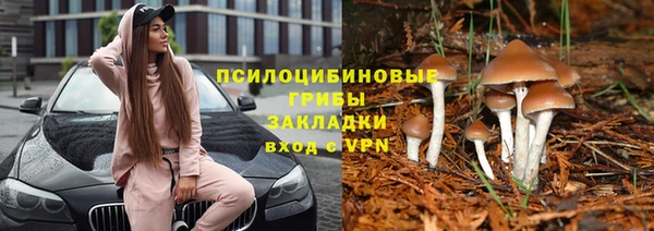тгк Абаза