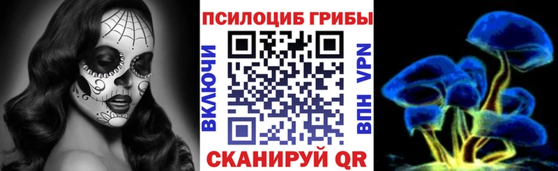 Псилоцибиновые грибы Psilocybe  Сорск 